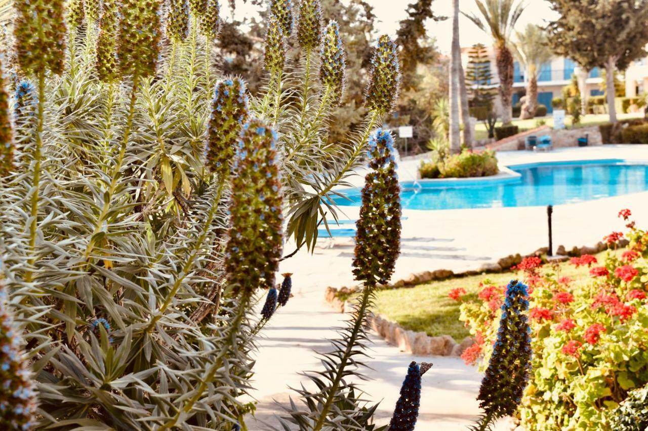 Paradise Gardens Mediterranean Home Пафос Екстер'єр фото