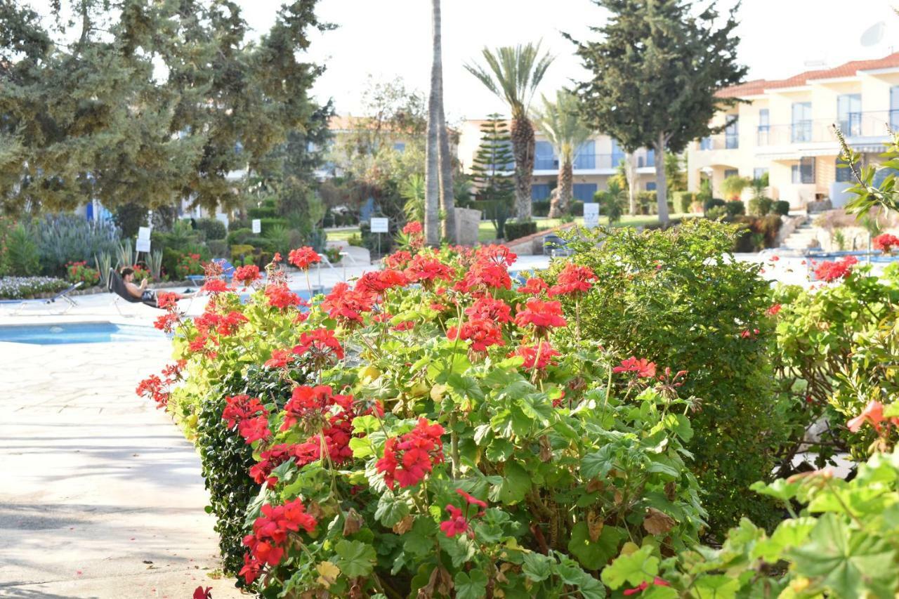 Paradise Gardens Mediterranean Home Пафос Екстер'єр фото